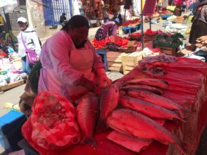 魚市場中南米